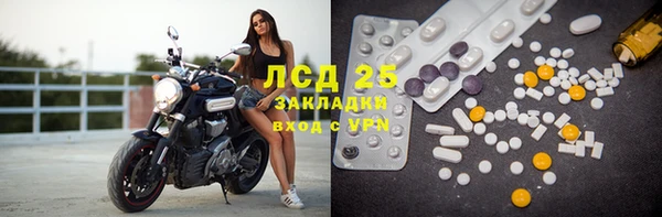 ГАЛЛЮЦИНОГЕННЫЕ ГРИБЫ Богородицк