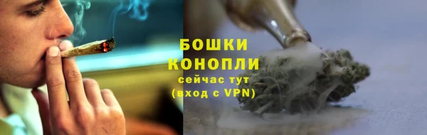 ешки Богданович
