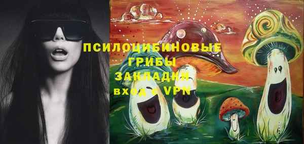 ешки Богданович