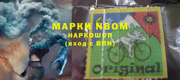 гашик Богородск