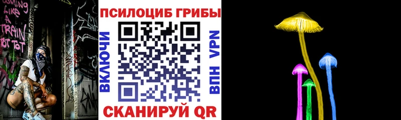 kraken зеркало  Ворсма  Галлюциногенные грибы Magic Shrooms 